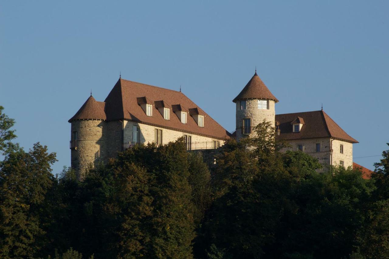 La Tour De Quinsonnas Bed and Breakfast Serezin-de-la-Tour Zewnętrze zdjęcie