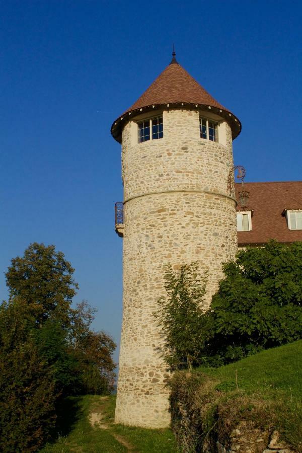 La Tour De Quinsonnas Bed and Breakfast Serezin-de-la-Tour Zewnętrze zdjęcie